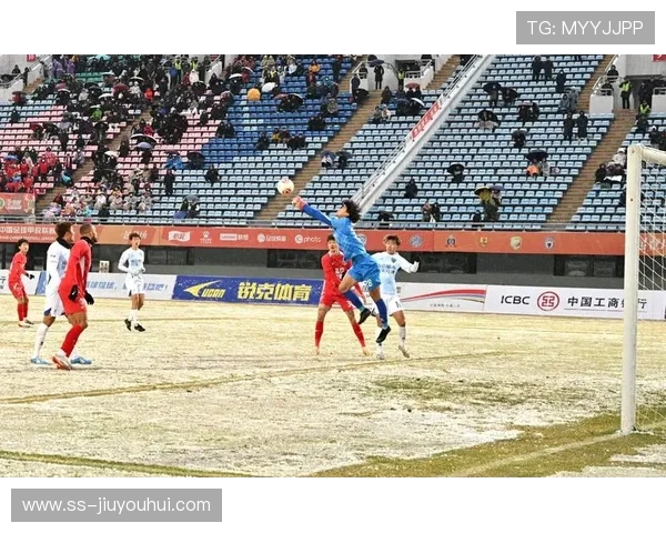 涢申体育足球直播全景解析带你畅享赛事魅力时刻巅峰激情互动盛宴